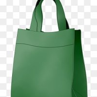 The Green Bag Initiative: A Corporate Strategy for a Sustainable&nbsp;Future